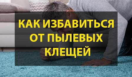 Как избавиться от пылевых клещей