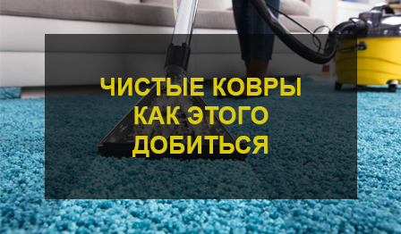 Химчистка ковра